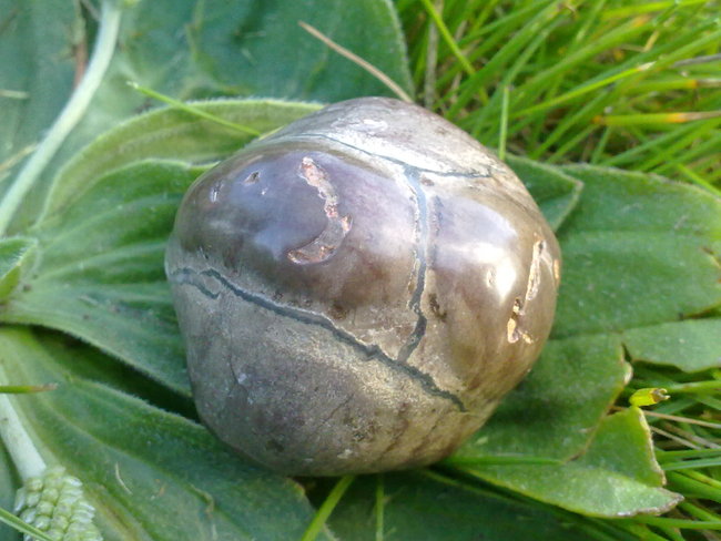 Schätze aus Greding 103.jpg