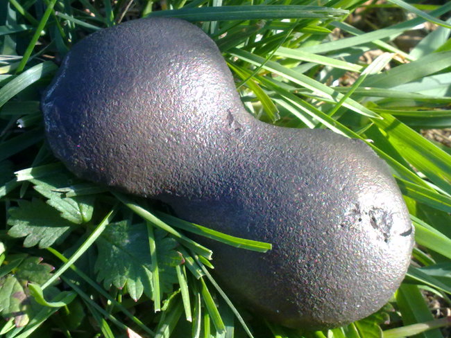 Schätze aus Greding 187.jpg