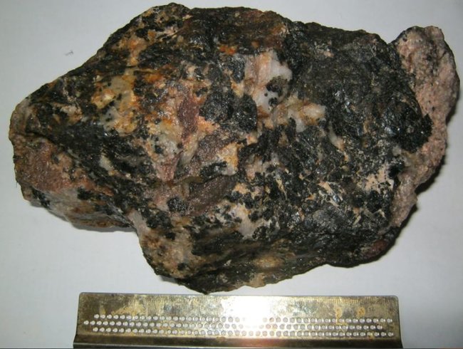 t01.JPG