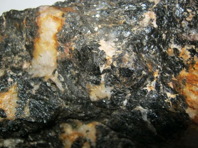 t03.JPG