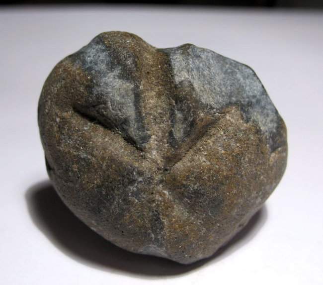 Herzigel-br.JPG