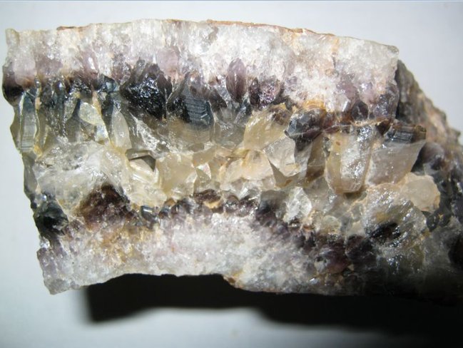 v01.JPG