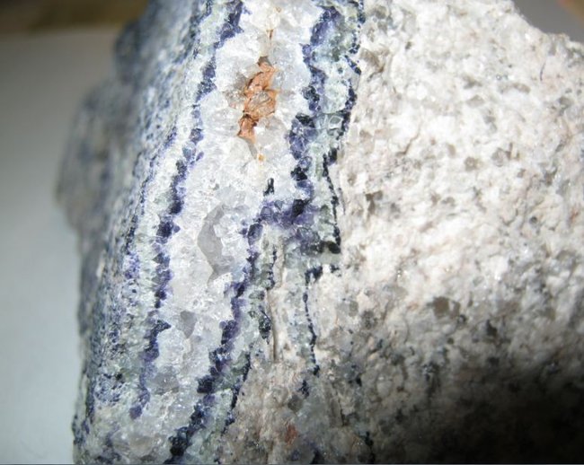 v05.JPG