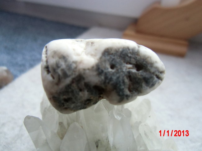 DSCI0058.JPG