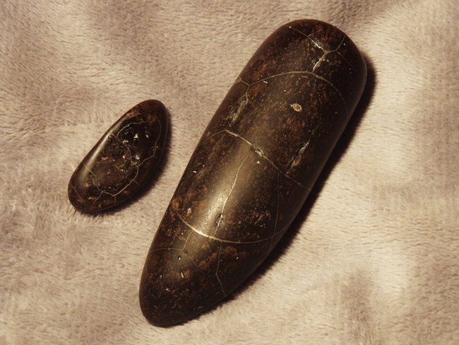 Pyrit Septarie