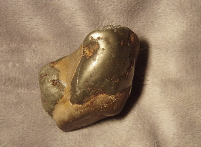 Pyrit Septarie