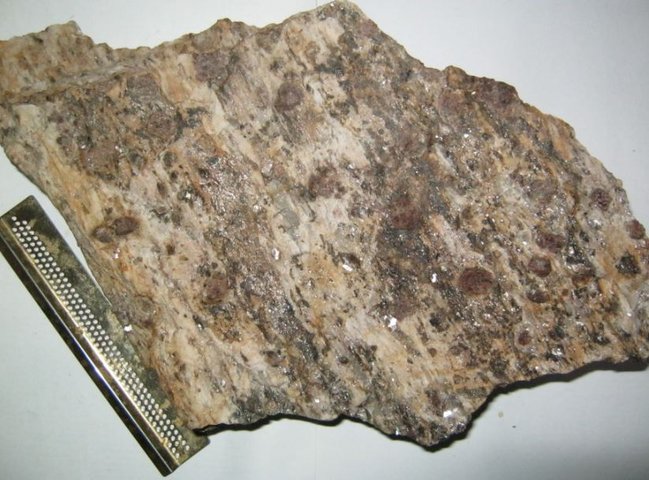 g08.JPG