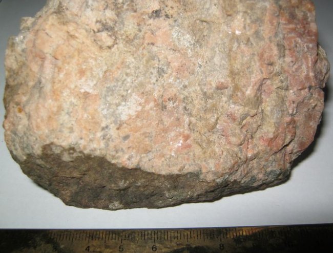 g10.JPG