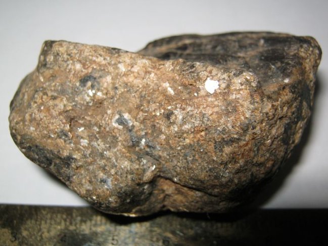 k02.JPG