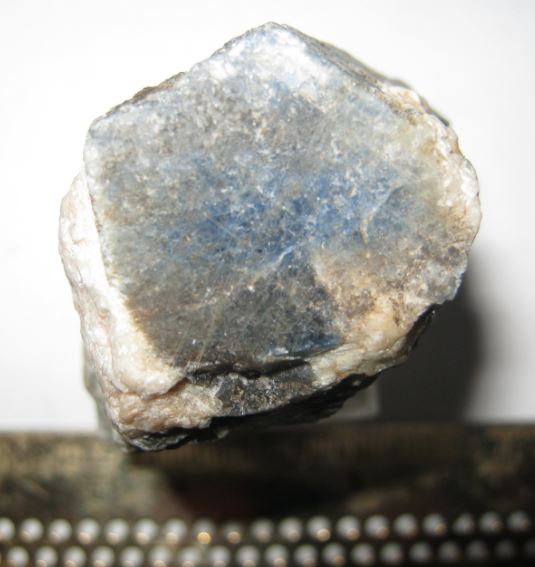 k05.JPG
