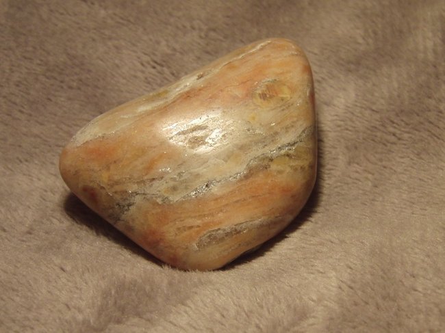 CIMG5829.jpg
