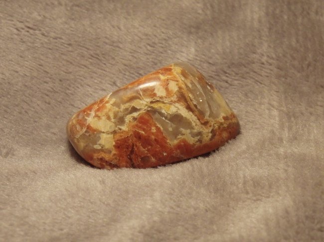 CIMG5819.jpg