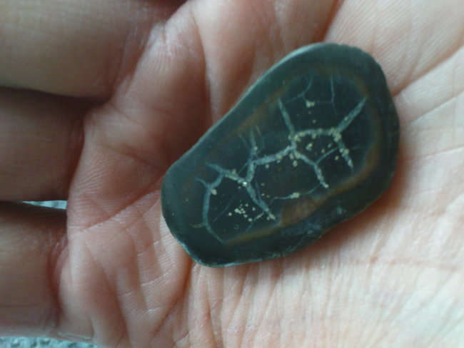 Septarie Marokko.JPG