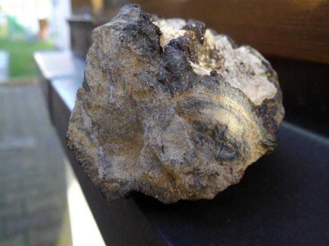 Holz von unten