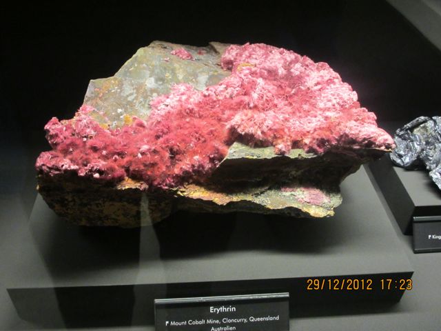 4.01. 9Erythrin.jpg