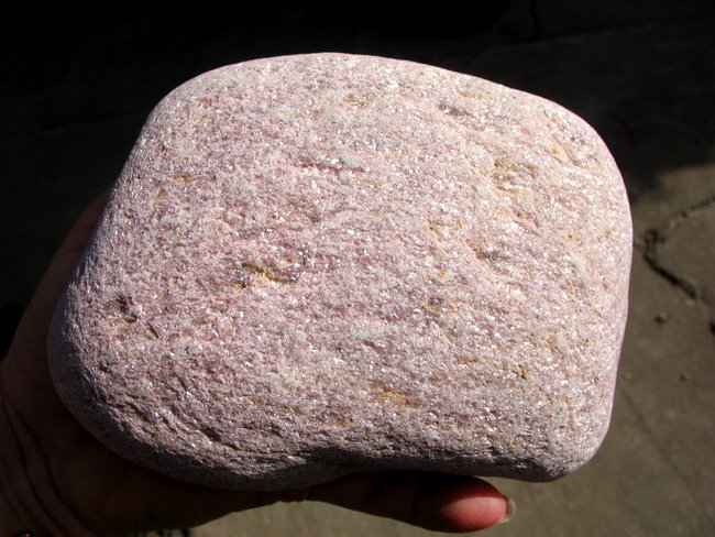 Glimmer-rosa2.JPG