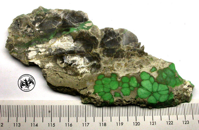 VariscitUtah509_2.jpg