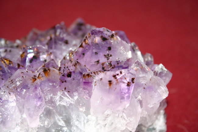 IMG_6458.JPG (1.47 MiB) 34516 mal betrachtet Die Spitzen der Druse von nahem