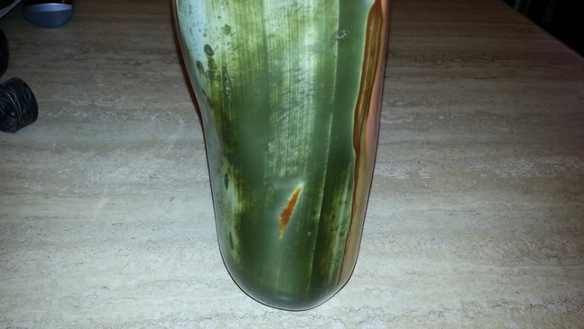 Polychrome Jaspis.