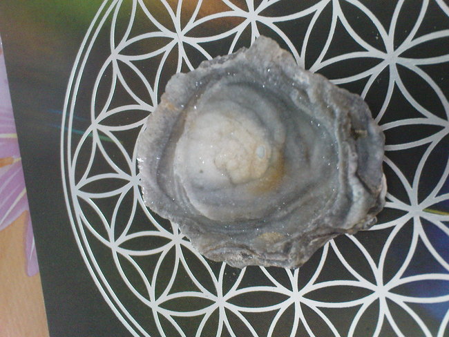 DSC06363.JPG
