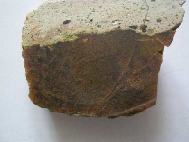 hb01.JPG