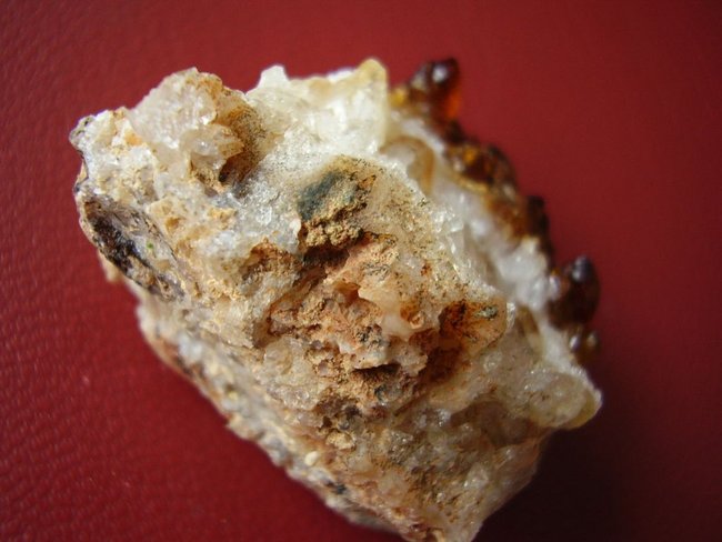 vlt.Citrin 3.jpg