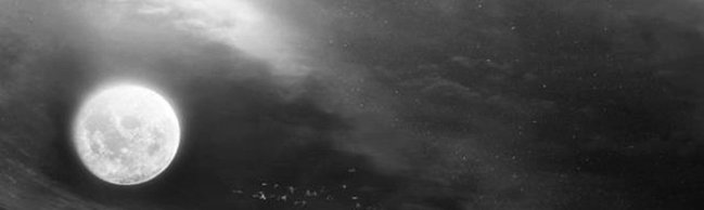 pale-moon ;)