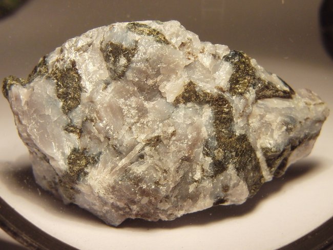 CIMG6176.JPG