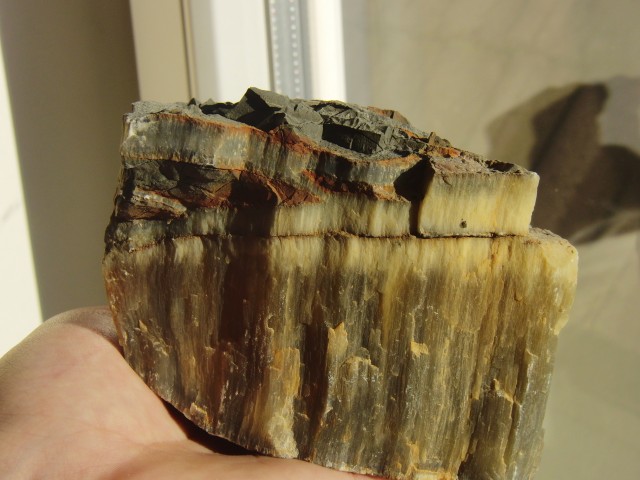frische Bruchstelle von Faserkalk
