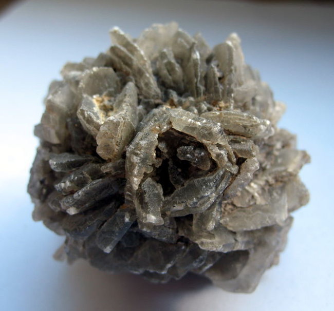 Gipsrose