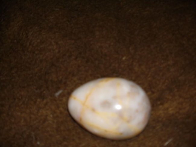 DSCI0101.jpg