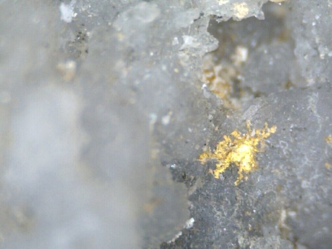 ged.Gold auf Quarz 04.jpg