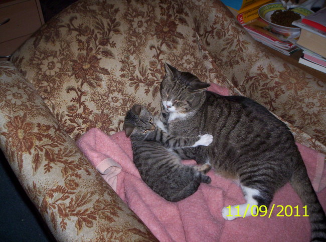 Benny mit Tuna