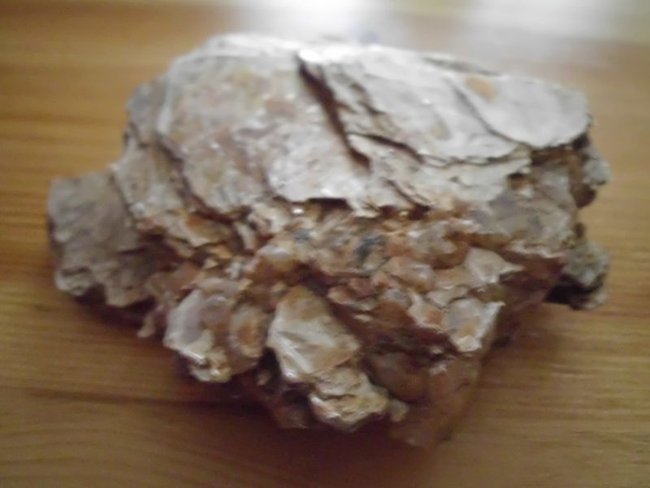 DSCI0187.jpg