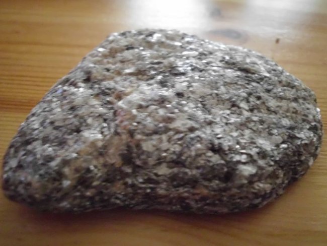 DSCI0184.jpg