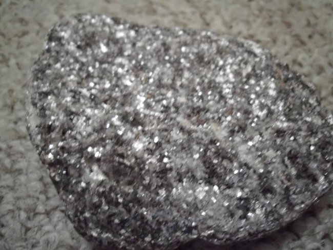 DSCI0208.jpg
