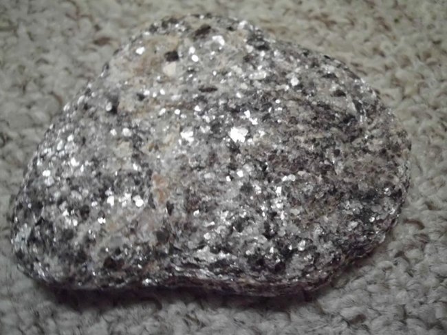 DSCI0209.jpg