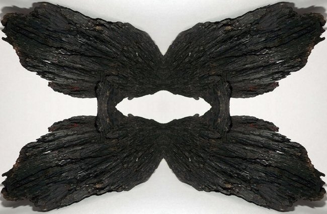 fledermausx-vert.jpg