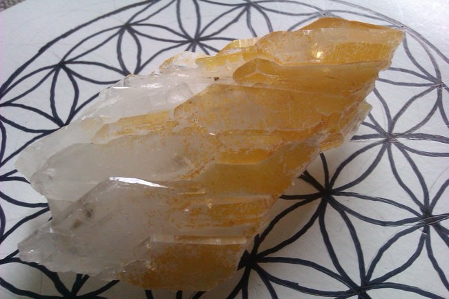 Goldenhealer  -  Flügel.jpg