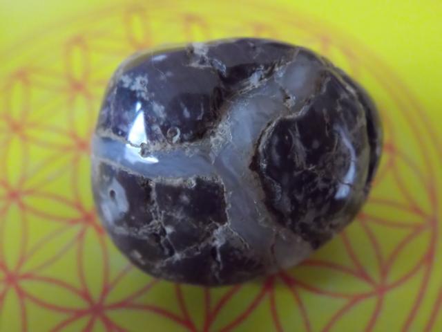 Septarie?