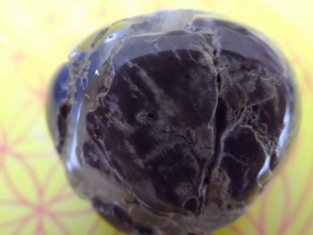 Septarie?