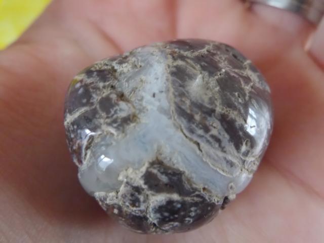 Septarie?