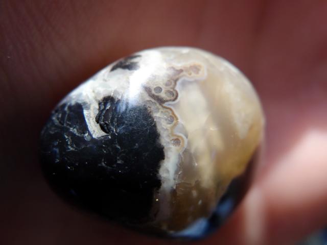 Sardonyx?