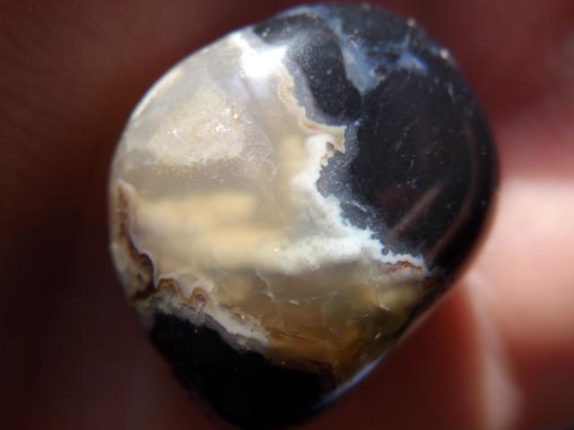Sardonyx?