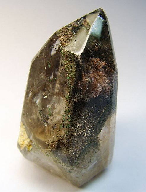 lodo5b.jpg