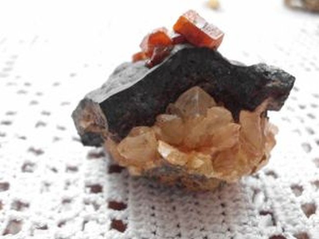 DSCI0331.jpg