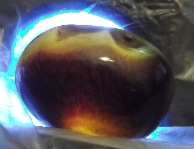 DSCF1811.JPG
