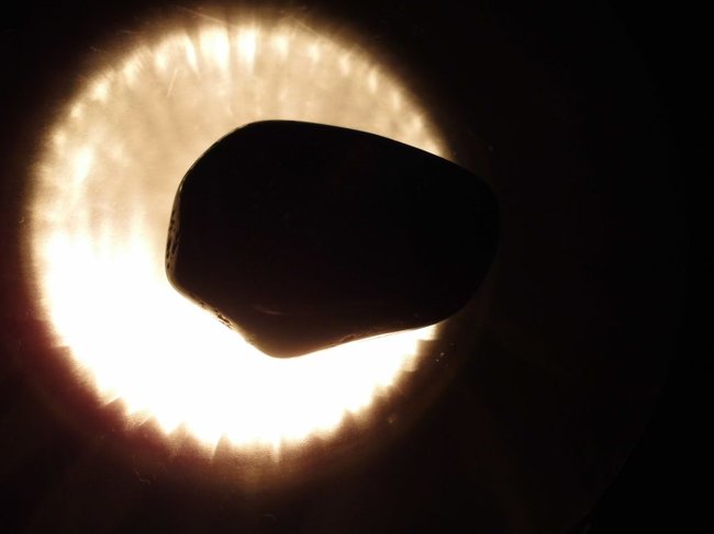 DSCI0361.jpg