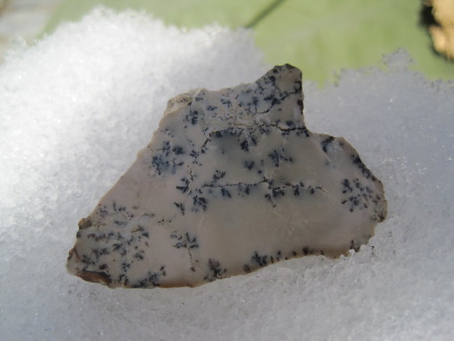 Dendritenopal
