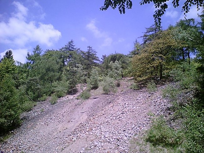 Kr. 07.JPG